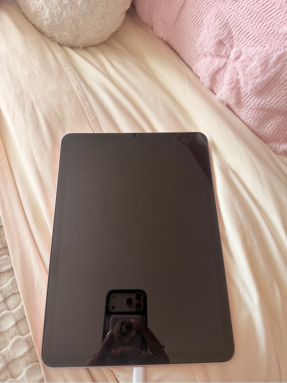 Apple iPad in Rose Pink Aluminum Finish 256 GB